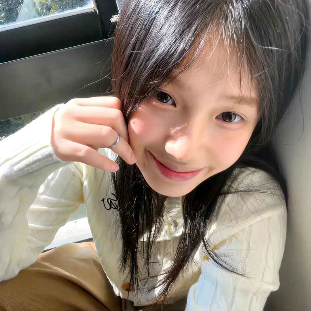 新沙洞燕子