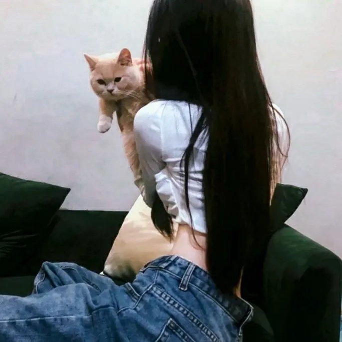 三个强盗之龙的传承